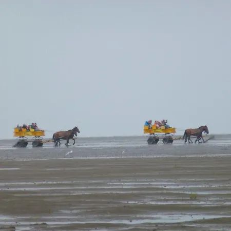 아파트 Haus Duenenglueck Whg. 22, Seesicht