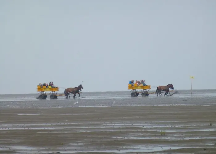 公寓 Haus Duenenglueck Whg. 22, Seesicht